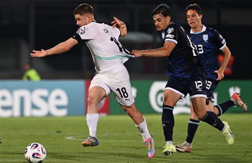 What's a Bingo Game?